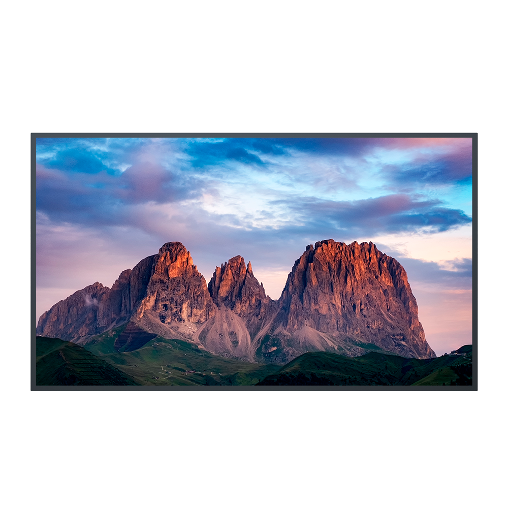 Digital Signage Displays