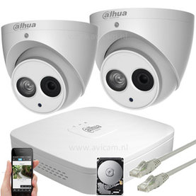 Mit dem Netzwerk verbundene Kameras