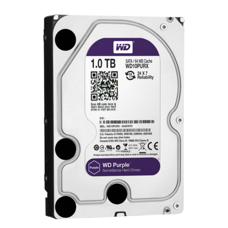 1TB Festplatte WD10PURX