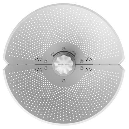 RG-AirMetro460F