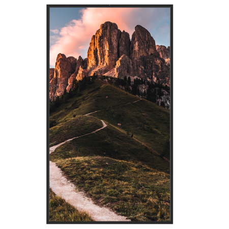 Safire Monitor 65 inch 4K - 5000 nits High Brightness voor etalages