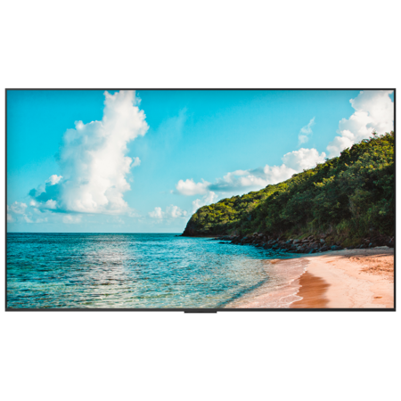 Hisense Digital Signage Monitor 100 inch 4K - HIS-100DM66E