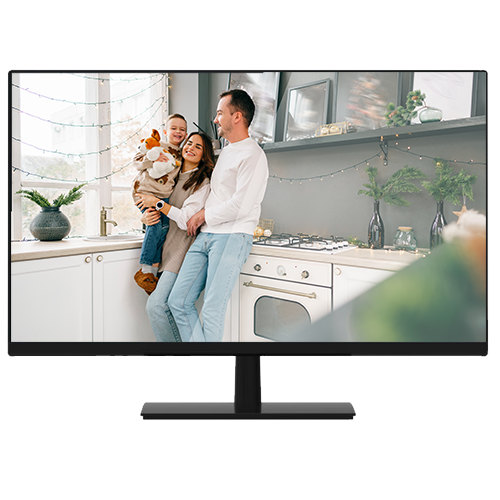 Safire 24 inch HD Monitor - Multisignaal met BNC, VGA en HDMI voor beveiliging