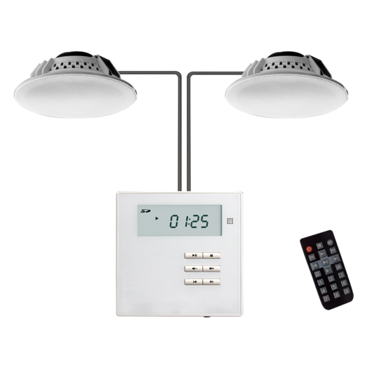 DSPPA M2U Complete Audio Inbouwset met Muurversterker en 2 Plafondluidsprekers