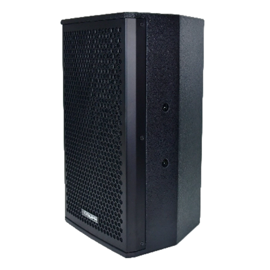 DSPPA D6563 Professionele Passieve Tweeweg Luidspreker - 150W - 8 Ohm - Hout