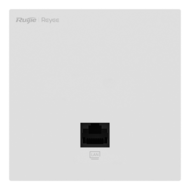 RG-RAP1201