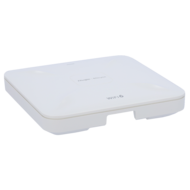 RG-RAP2260G